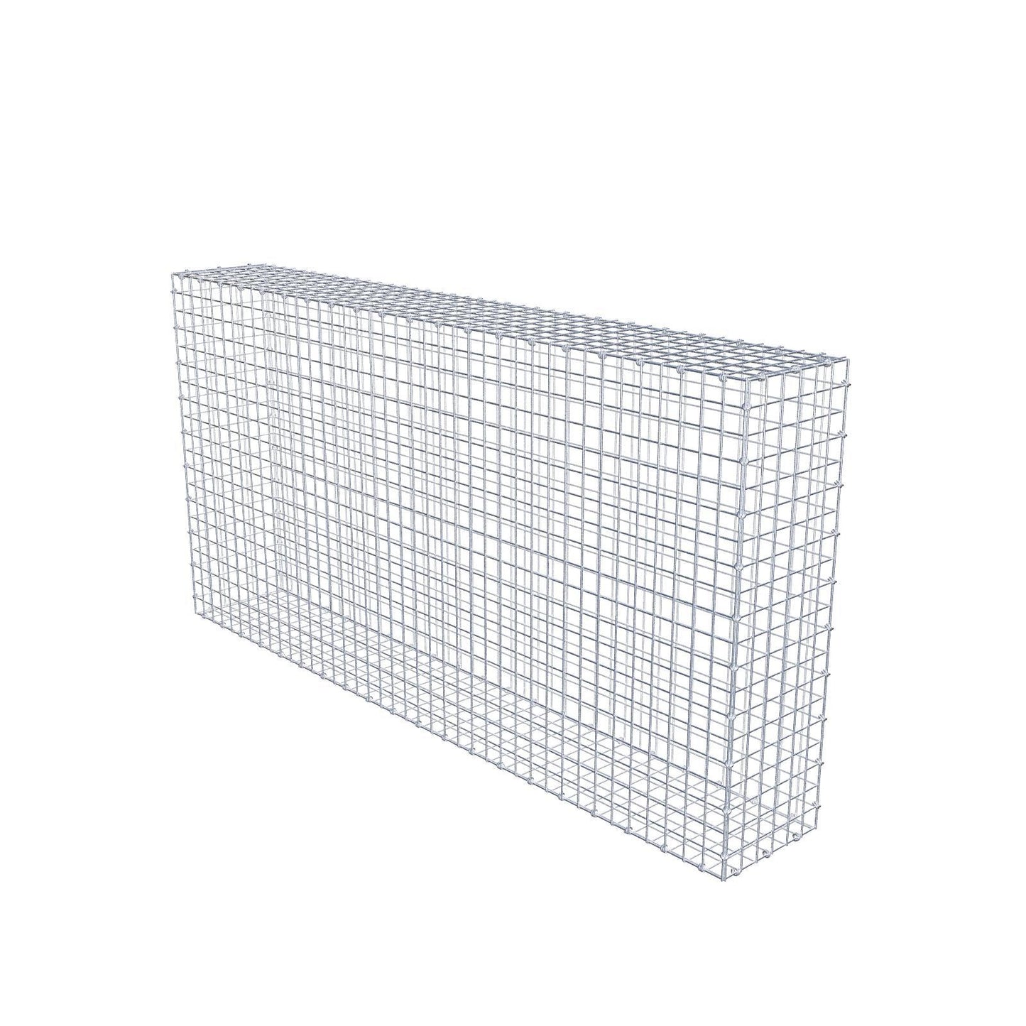 Gabion 200 cm x 100 cm x 30 cm (L x H x P), mailles 5 x 5 cm, anneau en spirale